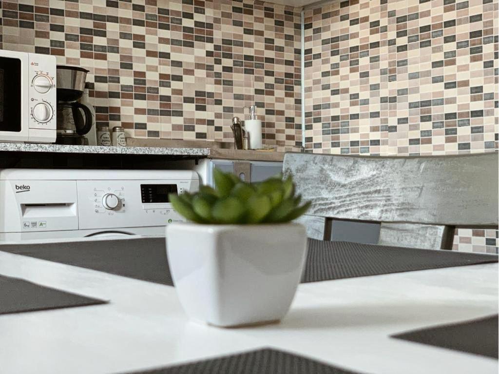 Ultracentral Apt With City Center View - Smart Tv - Ac ティミショアラ エクステリア 写真
